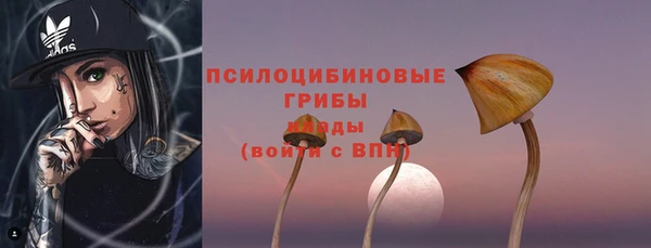 2c-b Богородицк