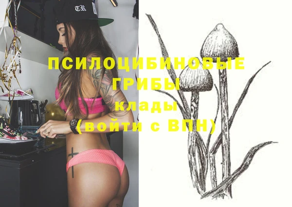 2c-b Богородицк