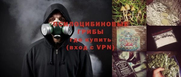 2c-b Богородицк