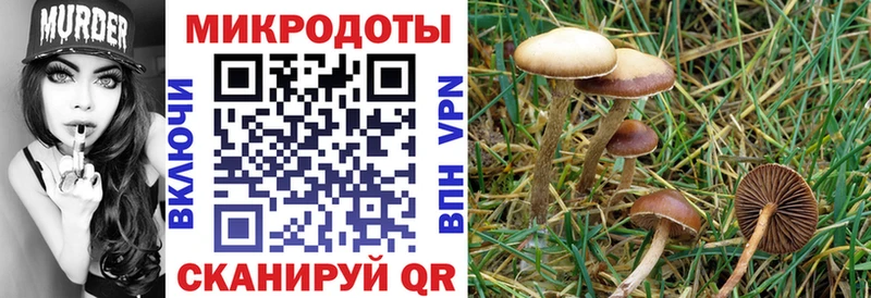 OMG ссылка Афипский Псилоцибиновые грибы мухоморы